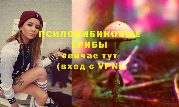 бошки Переславль-Залесский